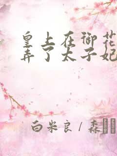 皇上在御花园c弄了太子妃