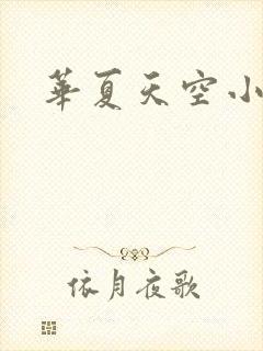 华夏天空小说网