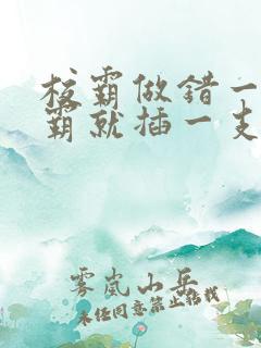 校霸做错一题学霸就插一支笔