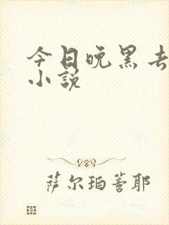 今日晚黑去见你小说