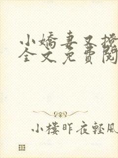 小娇妻又撩又甜全文免费阅读