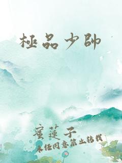 极品少帅