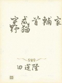 穿成首辅家的小野猫