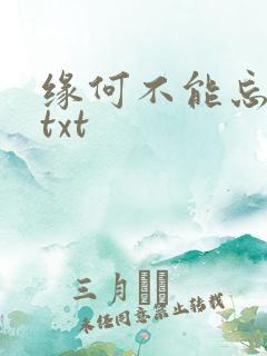 缘何不能忘记你txt