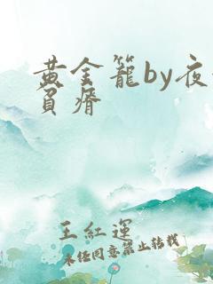 黄金笼by夜很贫瘠