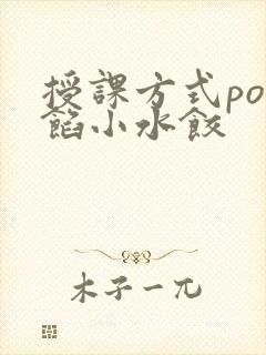授课方式po肉馅小水饺