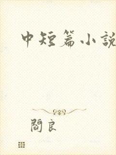 中短篇小说集