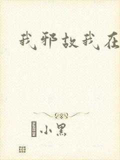 我邪故我在