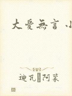 大爱无言 小说