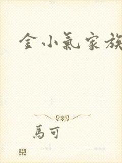 金小气家族小说
