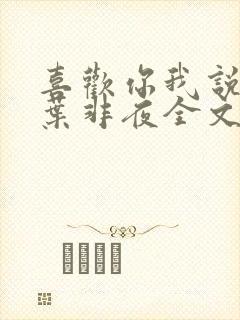 喜欢你我说了算叶非夜全文免费阅读