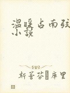 温暖占南弦尹衿小说