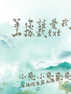 等你说爱我之冰山总裁txt