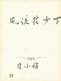 风流花少下载