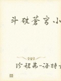 斗破苍穹小说