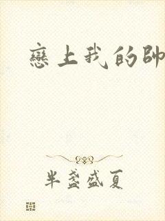 恋上我的帅和尚