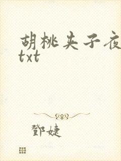 胡桃夹子夜未眠txt