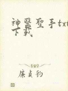 神医圣手txt下载
