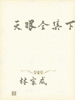 天眼全集下载