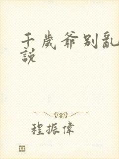 千岁爷别乱来小说