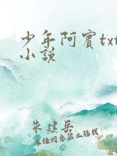 少年阿宾txt小说