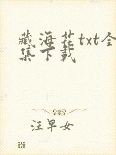 藏海花txt全集下载