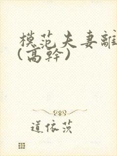 模范夫妻离婚了(高干)