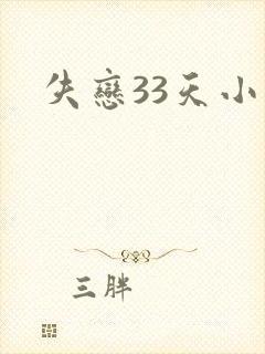 失恋33天小说