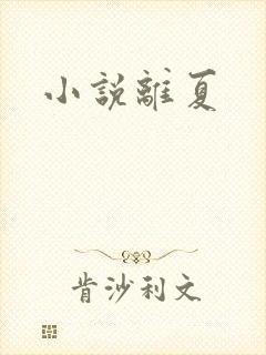 小说离夏
