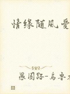 情缘随风爱淡淡