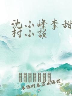 沈小峰李甜的乡村小说