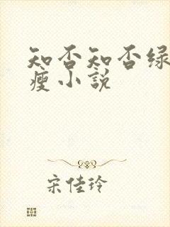 知否知否绿肥红瘦小说