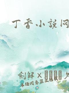 丁香小说网