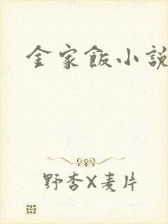 金家饭小说