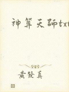 神算天师txt