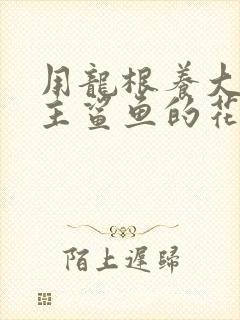 用龙根养大的公主鲨鱼的花