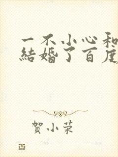 一不小心和醋精结婚了百度云