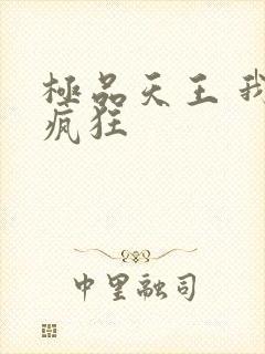 极品天王 我本疯狂