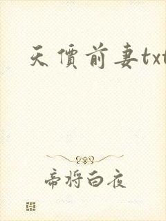天价前妻txt