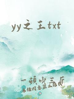 yy之王txt