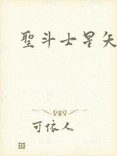 圣斗士星矢小说