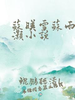 苏映雪苏雨柔苏灏小说