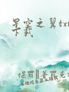 星空之翼txt下载