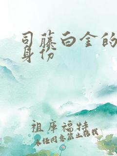 司藤白金的真实身份