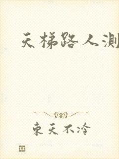 天梯路人测试器