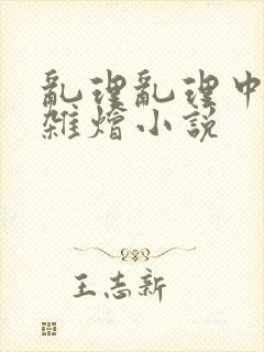 乱理乱理中文大杂烩小说