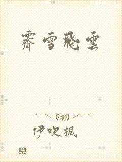 霁雪飞云