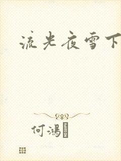 流光夜雪下载