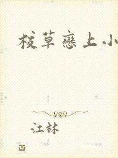 校草恋上小丫头