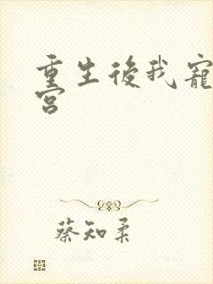 重生后我宠冠东宫